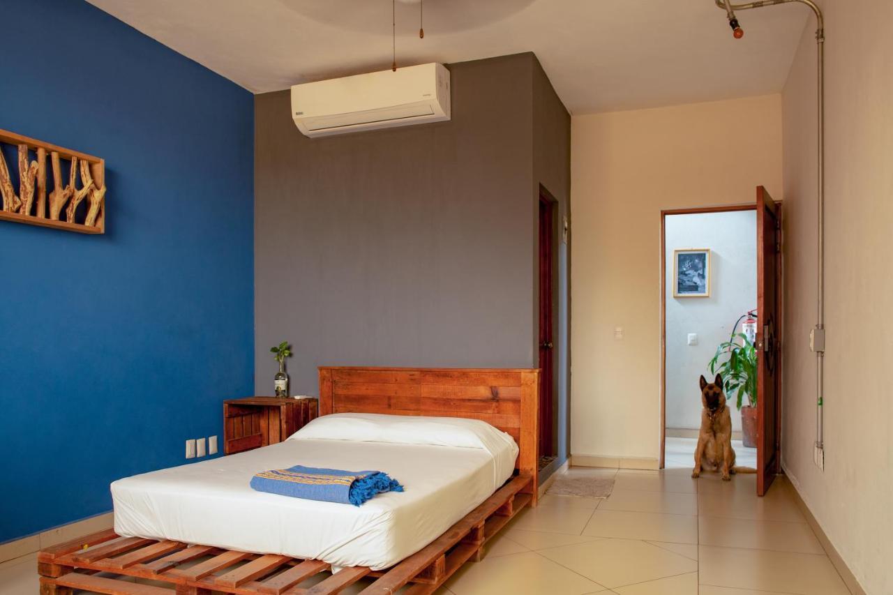 بيت شباب Puerto Dreams H بويرتو إسكونديدو المظهر الخارجي الصورة